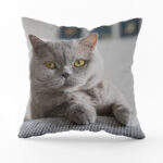 Poduszka bawełniana biała 38x38cm