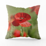 Poduszka bawełniana naturalna 38x38cm