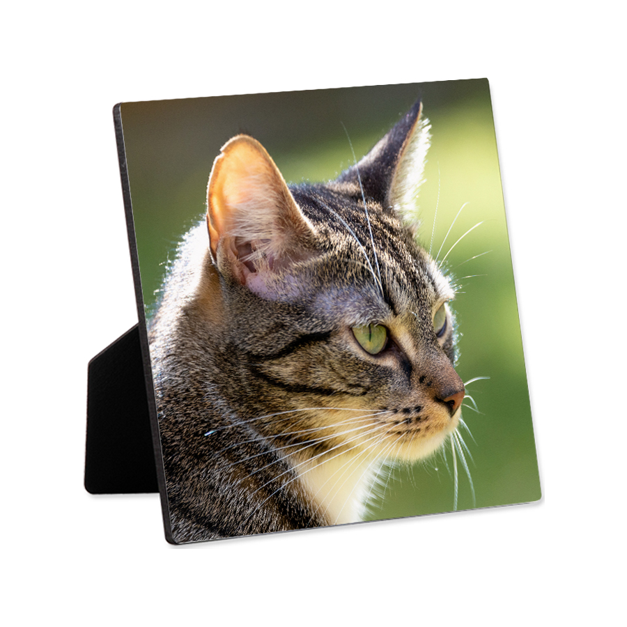 Foto-panel Hardboard ChromaLuxe 15×15 cm